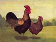 unknow artist Cock and Hen China oil painting art